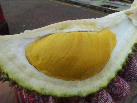 durian2.gif