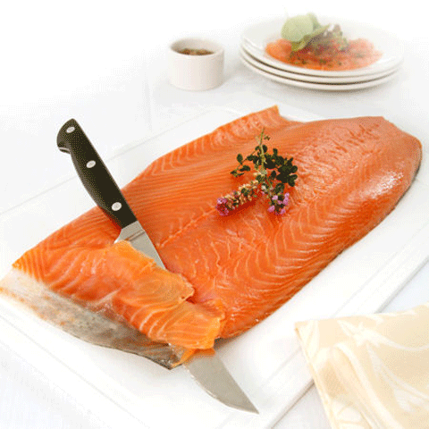 salmon.gif
