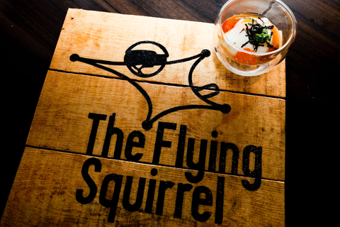 flyingsquirrel5.gif